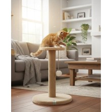 Rafta Reyo Pet Stepli Kedi Tırmalama Tahtası Bej