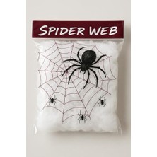 Rafta Halloween Cadılar Bayramı Beyaz Renk Örümcek Ağı Seti