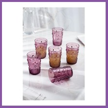 Bezos Akrilik Mürdüm 6'lı Kısa Bardak & Su Meşrubat Kahve Yanı Bardağı 400 ml ( Cam Değildir ) Bzoshb
