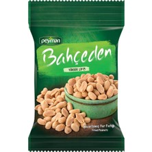 Tr Bahçeden Kizartilmiş Yer Fistiği 70G