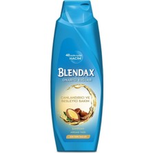 Rafta Blendax Argan Yağı Özlü Şampuan, 500 Ml, Besleyici ve Tazeleyici Bakım