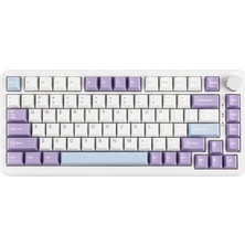 Rafta Ajazz AK820 Max He Hall Effect Manyetik Switch Kablolu Oyun Klavyesi 8000Hz Mor Beyaz