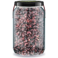 Rafta Zencefil Organik Nar Tanesi Kurusu Bi Kavanoz 660 Cc. Cam Kavanozda Katkısız Nar Kurusu Taneleri Dried Pomegranate