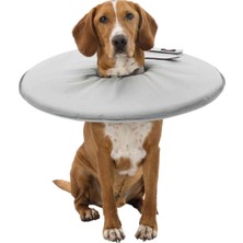 Rafta Trixie Köpek Yakalığı S:30-34CM/19,5CM Gri