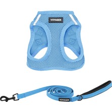 Rafta Voyager Step-In Air All Weather File Kablo Demeti ve Yansıtıcı Köpek 1,5 M Neopren Saplı Tasma Kombo Best Pet Supplies Tarafından Küçük, Orta ve Büyük Irk Yavrular Için - Tasma Koşum Takımı (Bebek