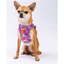 Rafta Xs Boy Air-Mesh Rosea Camouflage Köpek Göğüs Tasması