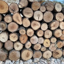 Rafta Şömine ve Mangal Için 15 kg Meşe Odunu
