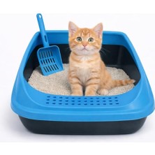 Rafta Açık Kedi Tuvaleti, Yüksek Kenarlı ve Kolay Temizlenir Kedi Kumu Kabı – Kürek Dahil