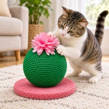 Rafta Dekoratif Kedi Tırmalama Oyuncağı, Halat Sarımlı Kaktüs Tasarım, Tabanlı Kedi Tırmalama ve Oyun Ürünü (Yeşil-Pembe Çiçekli)