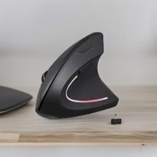Rafta Kenly Dikey Ergonomik Kablosuz Mouse – Sessiz Tıklama, Bilek Dostu Tasarım, 2.4g USB Alıcılı, Ayarlanabilir Dpı, Bilgisayar ve Laptop Uyumlu Ergonomik Mouse