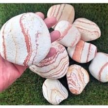 Rafta Sarı Renk Dolomit Taş, 5 kg Ağırlık ve Dekoratif Bahçe Kullanımı