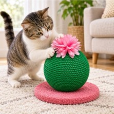 Rafta Yeşil-Pembe Çiçekli Tırmalama Oyuncağı, Kedi Için Eğlenceli