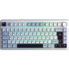 Rafta Aula F75 Mekanik Rgb Tkl Graywood V4 Switch Kablosuz Makrolu Hot Swap Türkçe Q Klavye Lacivert