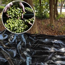 Rafta 5x4 Metre Zeytin Sergeni Zeytin Toplama Örtüsü Fındık Fıstık Dut Toplama Filesi Hasat Taban Örtüsü