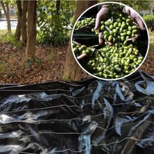 Rafta 5x4 Metre Zeytin Toplama Örtüsü, Hasat Için Dayanıklı File