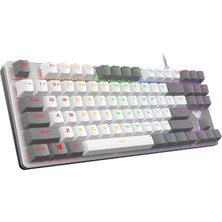 Rafta Aula F3287 Mavi Işıklı Kablolu Mekanik Ingilizce Q Tkl Gaming Oyuncu Klavyesi