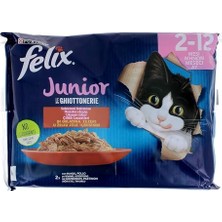 Mythriva Felix Junior Yavru Yaş Kedi Sı 85GR 4lü