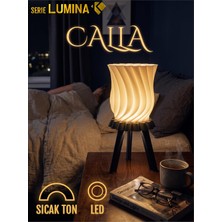 Tr Serie Lumina | Calla Modern Spiral Masa Lambası ve Dekoratif Gece Lambası - Sıcak Işık (Usb Başucu Abajur)