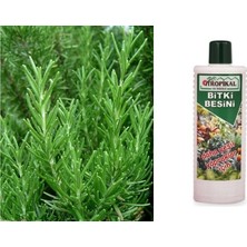Tr Tropikal Bitki Besini - Yeşil Bitkiler Için 1000 ml