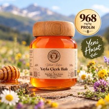 Yüksek Rakım Yayla Çiçek Balı 420 gr Büyük Dedemin Balları Erzurum Ham Bal