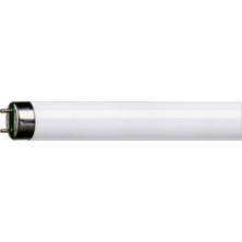 Philips 36 Watt Floresan Ampül G13 Duy Tipi Kar Beyazı Renk Sıcaklığı 12000 Kelvin 25 Adet
