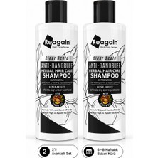 Reagain Sülfatsız Kepek Karşıtı Şampuan 2’li Kür Seti 2X250 ml Climbazole | Yağlı & Kepekli Saç Derisi