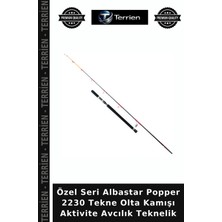 Terrien Özel Seri Albastar Popper 2230 Tekne Olta Kamışı Aktivite Avcılık Teknelik