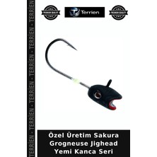 Terrien Özel Üretim Sakura Grogneuse Jighead Yemi Kanca Seri
