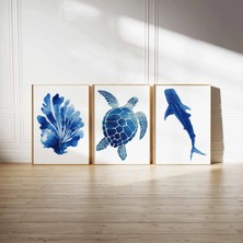 Ninastore 3'lü Okyanus Mavisi Poster Seti, Suluboya Deniz Canlıları Baskıları, Deniz Kaplumbağası, Mercan, Köpekbalığı Duvar Sanatı, Kıyı Deniz Hayvanları Dekorasyonu, Denizcilik Temalı Çerçevesiz Sanat Eseri