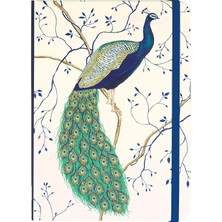 Belirtilmemiş Sm Jrnl Peacock