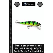 Terrien Özel Seri Storm Giant Flatstick Balığı Büyük Balık Tuzlu Su Hedef Av