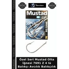 Terrien Özel Seri Mustad Olta Iğnesi 7691 Z 4 Lü Balıkçı Avcılık Balıkçılık