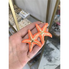 LinAlya Jewelry Gold Detaylı Yıldız Küpe