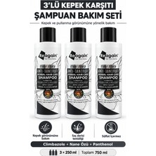 Reagain Sülfatsız Kepek Karşıtı Şampuan 3’lü Kür Seti 3X250 ml | Climbazole | Yağlı & Kepekli Saç Derisi