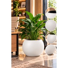 Pur Bella Büyük Boy Beyaz Yuvarlak Dekoratif Saksı Iç ve Dış Mekan Bitki Saksısı Modern Tasarım