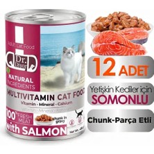 Dr. Diyor Somonlu Yetişkin Kedi 12 Adet