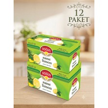 Doğuş Çay Doğuş Bitki Çayı 40 gr Nane Limon x 12 Paket