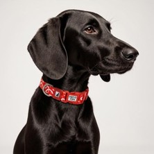 Mythriva 25 mm Desenli Ayarlanabilir Köpek Boyun Tasması, Güçlü