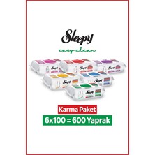 Sleepy Easy Clean Premium + Çiçek Serisi Yüzey Temizlik Havlusu Mendili 6x100 Karma Paket
