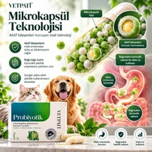 Vetpati Probiyotik Kedi ve Köpekler Için Probiyotik Prebiyotik Sinbiyotik Takviye 30 Kapsül