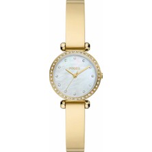 Fossil FBQ3895 Kadın Kol Saati