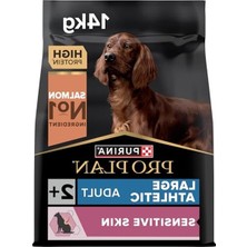 Odea Somonlu Yetişkin Köpek Yemi 14 Kg, Atletik Köpekler Için