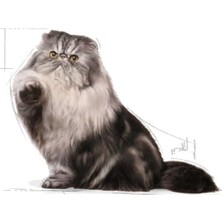 Rafta Yetişkin Kedi Maması, Sığır Etli 2 kg Besleyici Formül
