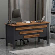 Vega Ofis Makam Çalışma Masası Antrasit Kemençe (Sandalye Dahil Değildir)