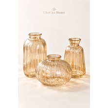 ChaCha Home 3'lü Dekoratif Cam Mini Vazo Seti Çizgili 3 Farklı Form Bal