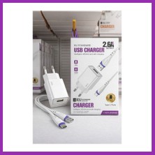 Salmore 2.6A USB Sarj Adaptoru + Type-C Sarj Kablosu (Eu) Bty