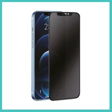 Ny Joy iPhone 16 Plus Uyumlu 3D Antistatik Hayalet Cam Ekran Koruyucu Nyjoybz