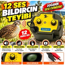 İtimat Av 12 Ses Akustik Bıldırcın Teybi & Kuş Sesi Simülatörü