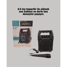 Ersert Kompakt Bluetooth Hoparlör 6.5 Inç USB Tf Kart Mikrofonlu