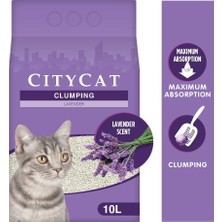 Str Store City Cat Lavanta Kokulu Kedi Kumu 10 Lt